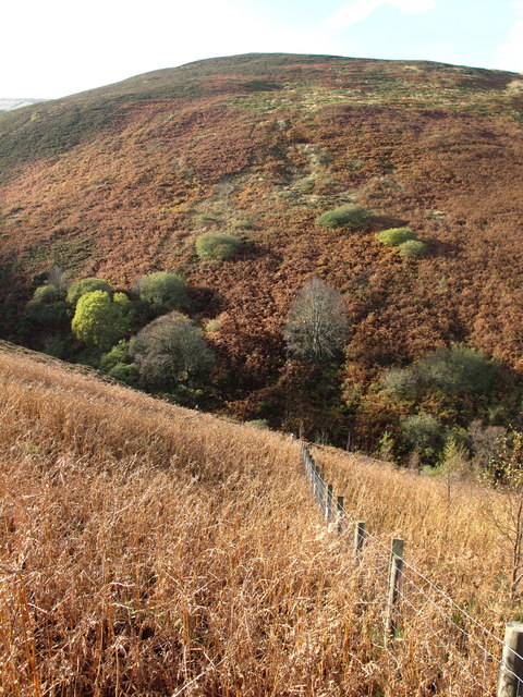 Fence in the valley of the Goldscleugh Burn