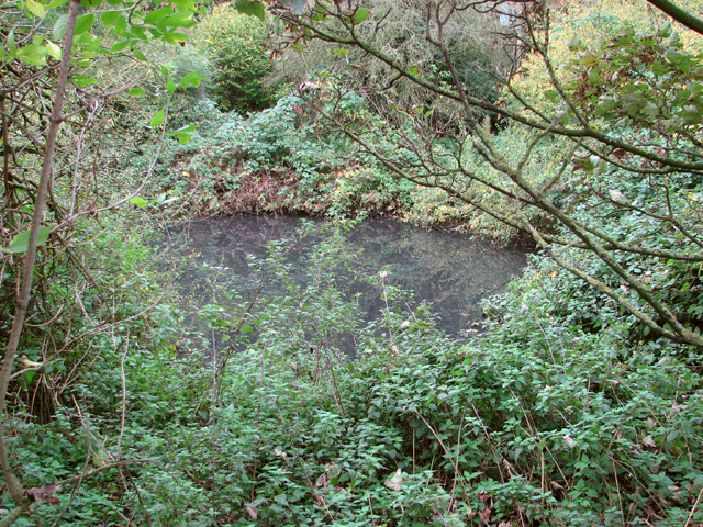 A pond by the Waterford Industrial Estate