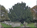 St Stephen, Beechingstoke: churchyard (c)