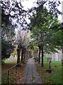 St Mary, Potterne: churchyard (i)