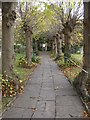 St Mary, Potterne: churchyard (v)