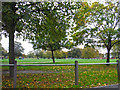 London : Lambeth - Clapham Common