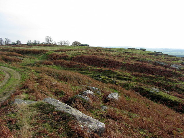 Iron Age Defended Settlement, Shaftoe Crags
