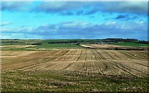 ND1759 : Clayock Farmland View by Mary and Angus Hogg