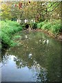 Ornamental Bridge, Cuckfield Park