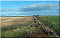 Farmland Near Loch Watten