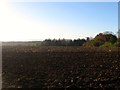 Barnsnape Field