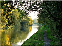 SP1972 : South along the Grand Union Canal, Rising Lane, near Baddesley Clinton, Warwickshire by Brian Robert Marshall