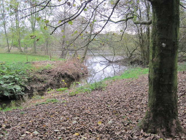 Confluence of "The Drain" and the River Lune