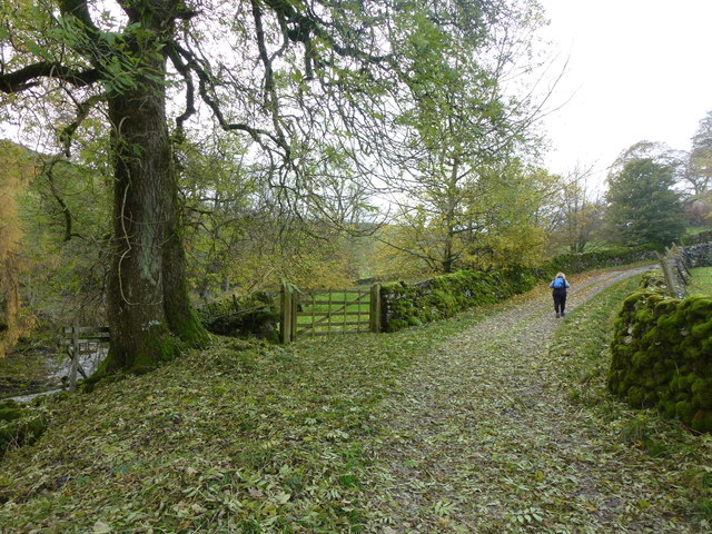 Lane in autumn