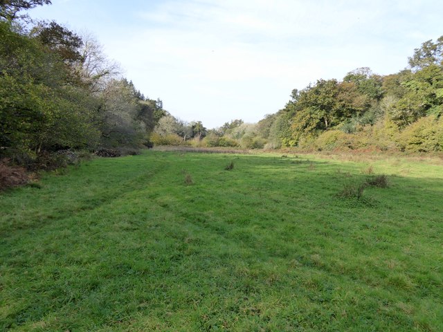 Open grassland beside the River Bovey at... © David Smith :: Geograph ...