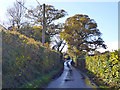 Wet lane near Marlpits