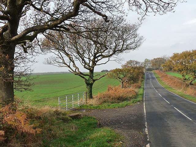 Birkland Lane