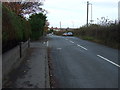 Staining Road