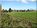 Crop field by RAF West Raynham