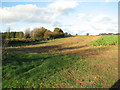 Crop fields by Weasenham St Peter