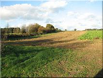 TF8323 : Crop fields by Weasenham St Peter by Evelyn Simak