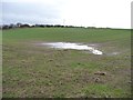 NY1443 : Waterlogged field, south of Pasture House by Christine Johnstone