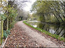 SJ9395 : Peak Forest Canal by Gerald England