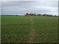 Footpath over field