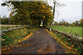 Track leading to Black Hill Farm