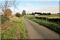 Lane past Southdown Farm