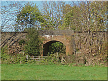 TQ0753 : Railway bridge near Lower Hammond's Farm by Alan Hunt