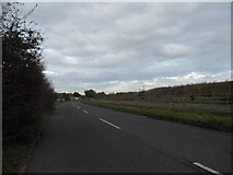 TQ0176 : Horton Road before Colnbrook by David Howard