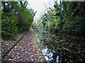 Grand Union canal, Ulverley Green