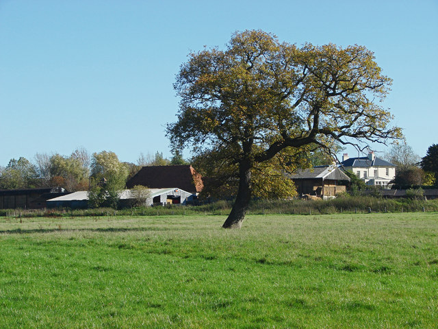 Upper Hammond's Farm