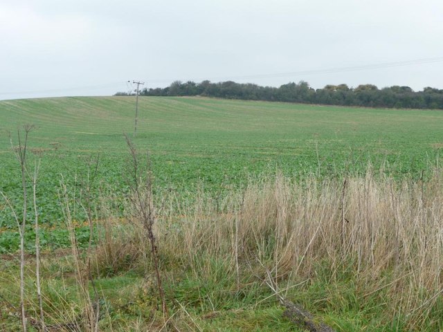 Farmland north of the Streatley - Lilley Road