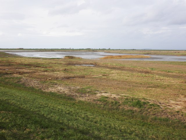 New saltmarsh ponds at Steart Marshes... © Roger Cornfoot :: Geograph ...