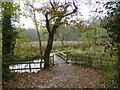 Footbridge over the River Dibbin in Brotherton Park