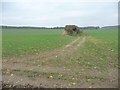 Public footpath to Hexton