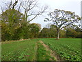 Footpath from Poulton Road to Dibbinsdale