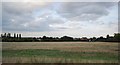 Farmland near Cross Farm