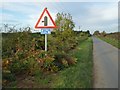 Junction sign on Field Lane