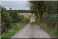 Path leading to Five Mile Wood