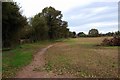 Footpath at edge of field, Spennells, Kidderminster