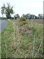 Overgrown ditch alongside the road to Apsley End