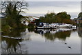 River Thames at Walton