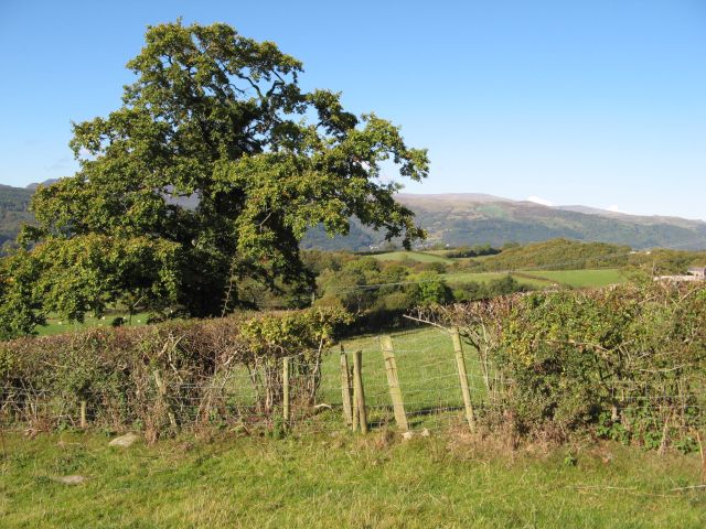 View to Coed y Garth
