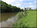 Footpath by River Wye