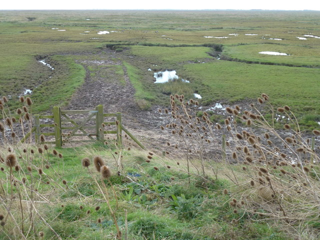 Gate onto the saltmarsh of The Wash near Frampton Marsh