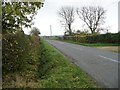 The road to Hanscombe End