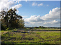 View west from Millfield Lane