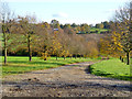 Track to Church End Farm