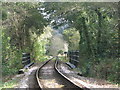 The South Devon Railway near Staverton