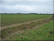 TL0934 : Flat farmland bordered by a drain by Christine Johnstone