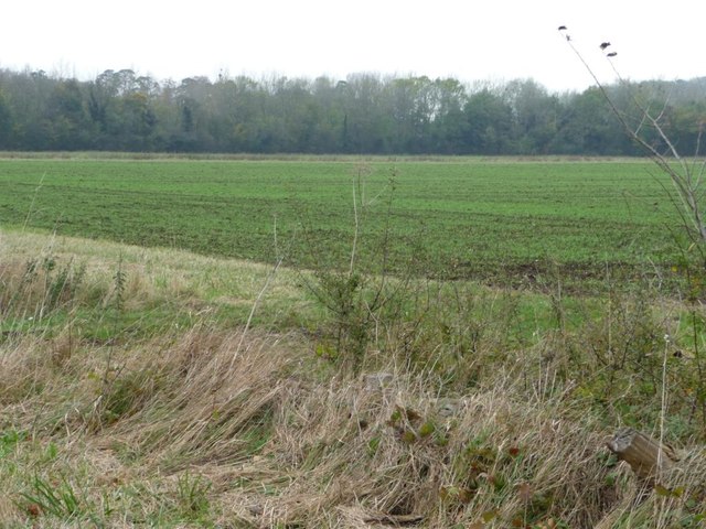 Farmland north-west of Little Ion